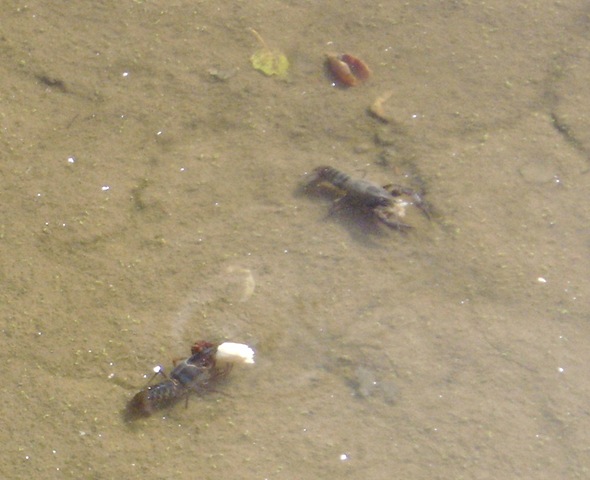 [2009-09-27 003.jpg]