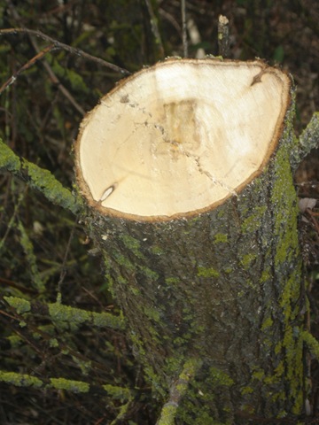 [2009-09-27 005.jpg]
