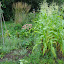 DSCN0511.jpg DSCN0511.jpg