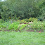 DSCN0498 (Small).jpg DSCN0498 (Small).jpg