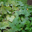 DSCN0503 (Small).jpg DSCN0503 (Small).jpg