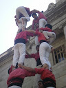 http://lh3.ggpht.com/_eW2PkqTIMrI/TCfEvwE0W2I/AAAAAAAACYU/nRxa_l0zHSw/P6270126.JPG