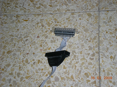 DSCN0379.JPG