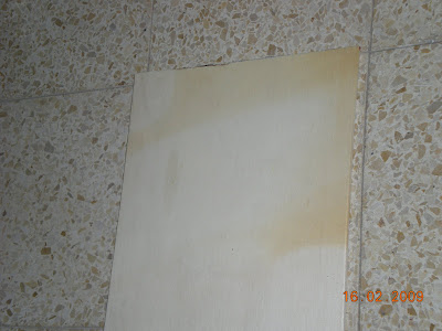 DSCN0383.JPG