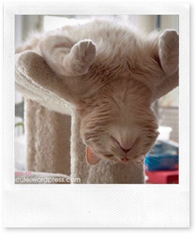 sleep