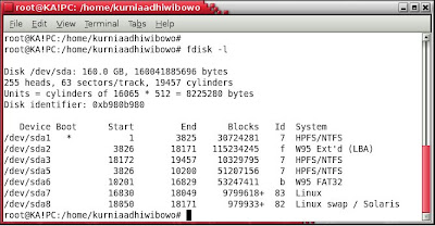 fdisk -l