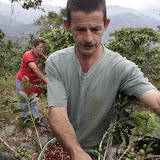 Coffee, Colombia