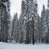 Snowboarding 2009