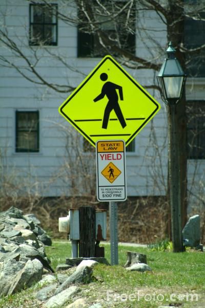 2010et006d.jpg