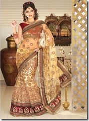hot and sexy indain sari 9