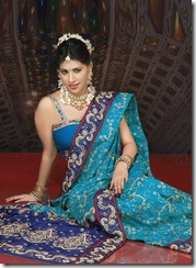 hot and sexy indain sari 2
