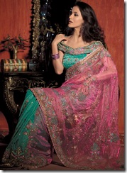 hot and sexy indain sari 4