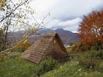 Senza titolo-5