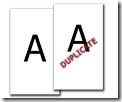duplicate
