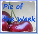 AA Pic of the Week