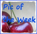 AA Pic of the Week 125 w