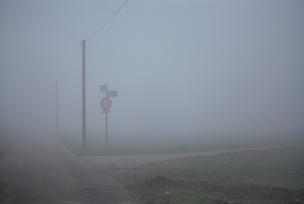 [Fields in Fog[8].jpg]