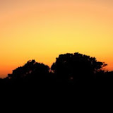 _MG_2893.JPG