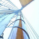 DSCF0001.JPG
