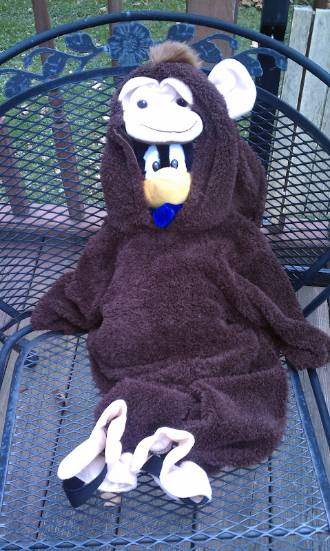 IMAG0325.jpg