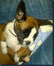 sleeping