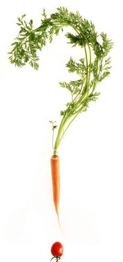 [ist2_5921050-question-mark-carrot[4].jpg]