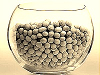 soia-main