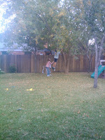 IMG_20101125_135739.jpg