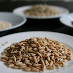 grains d'avoine bio