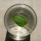 menthe