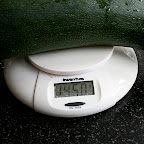 Ma voisine a de grosses courgettes