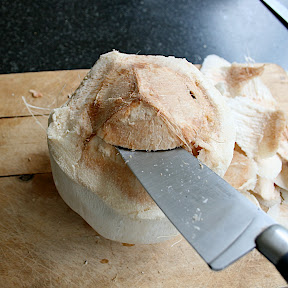 découpe de la calotte