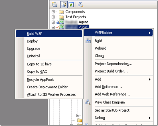 sharepoint-feature-deployment (11)