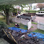 IMG_20100814_065501.jpg