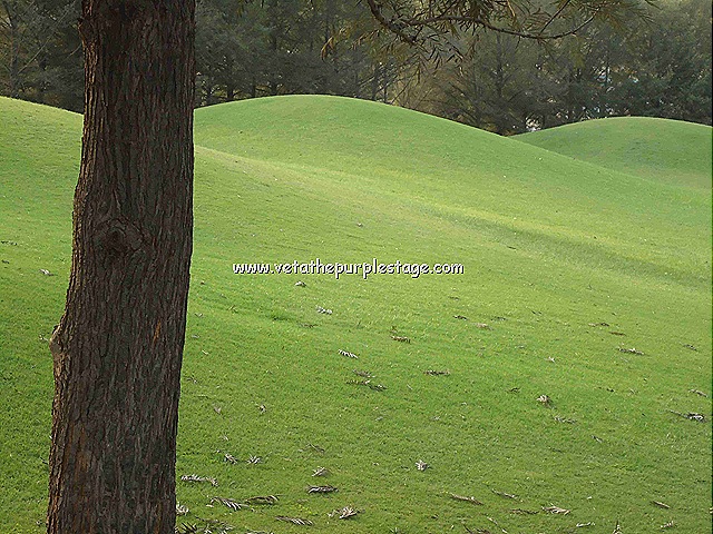 [ParkatRamojifilmcity[1].jpg]