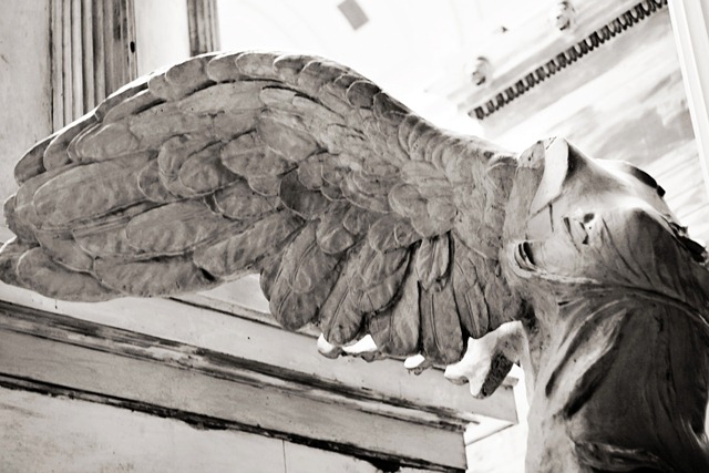 [museum angel wing bw[8].jpg]