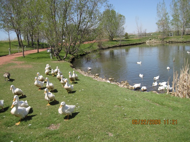 [IMG_05062.jpg]
