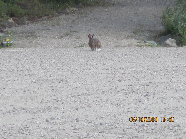 [IMG_10702.jpg]