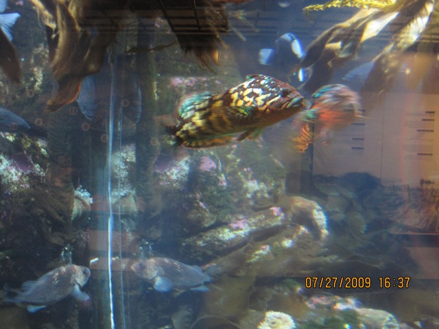 [IMG_13742.jpg]