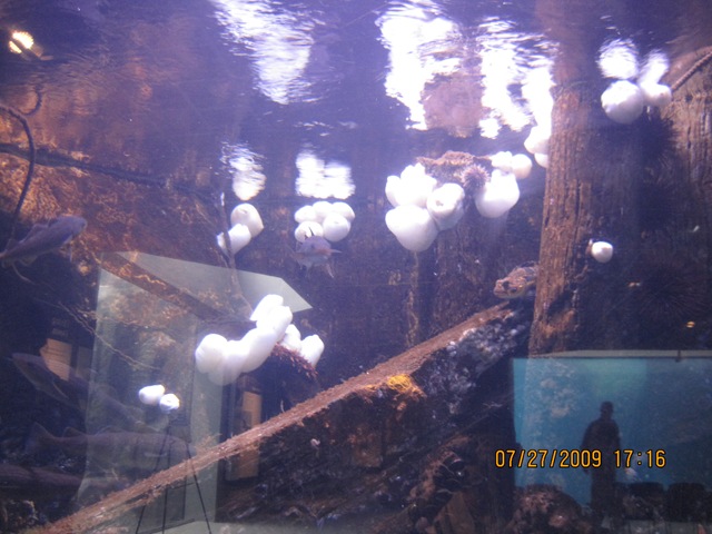 [IMG_13952.jpg]