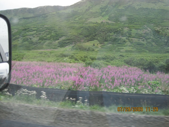[IMG_14322.jpg]