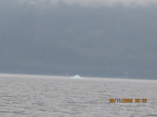 [IMG_17312.jpg]