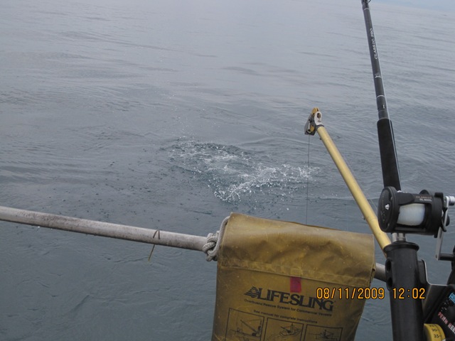 [IMG_17372.jpg]