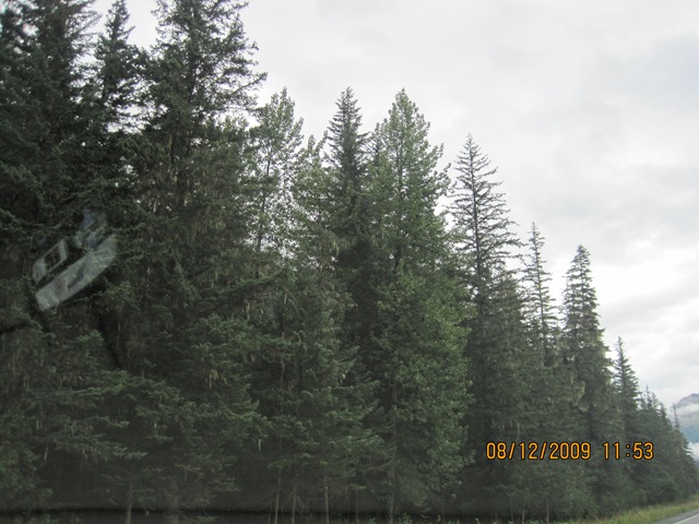 [IMG_17482.jpg]