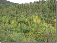 IMG_1807