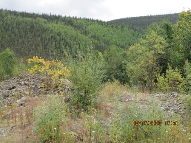 [IMG_18102.jpg]
