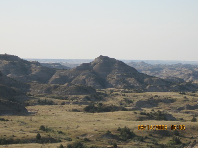 [IMG_20802.jpg]