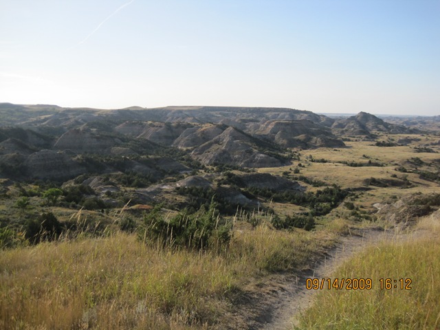 [IMG_20862.jpg]