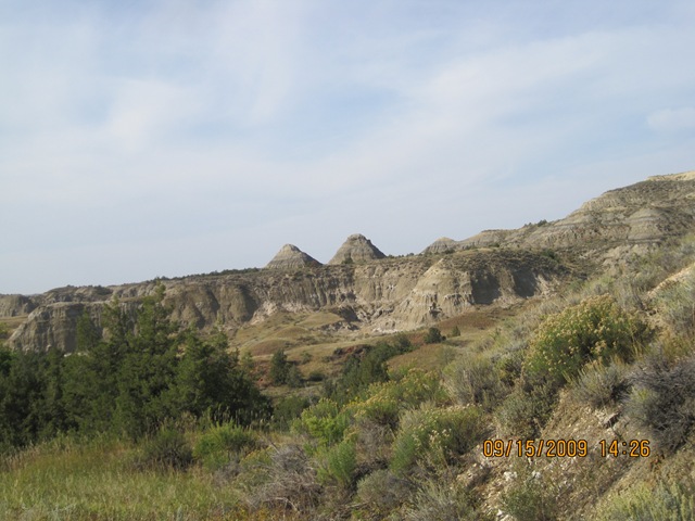 [IMG_21162.jpg]