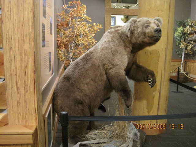 [IMG_20342.jpg]